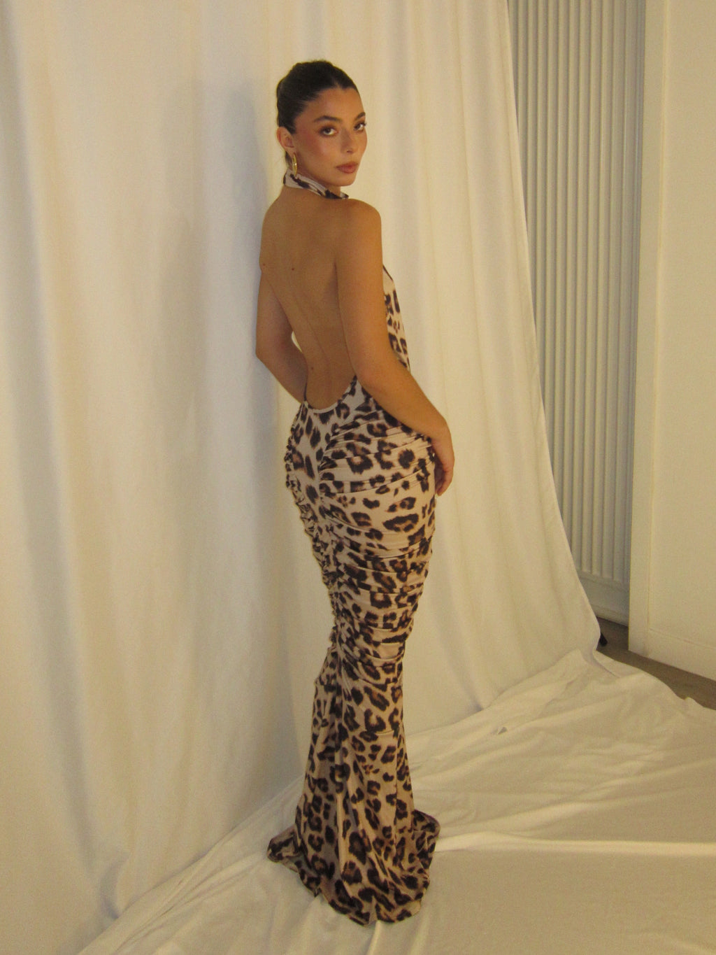 Cheetah