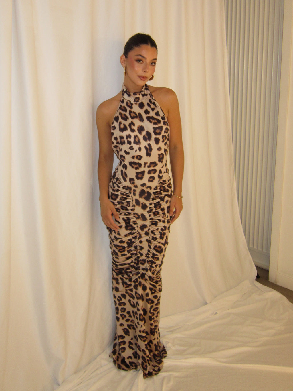 Cheetah